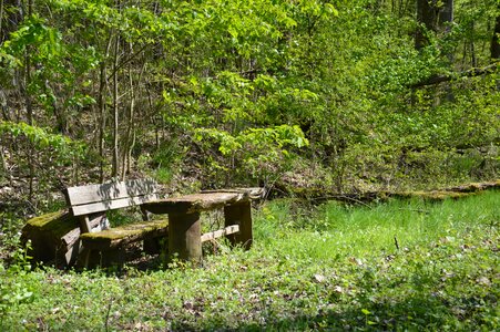 Landscape rest seat