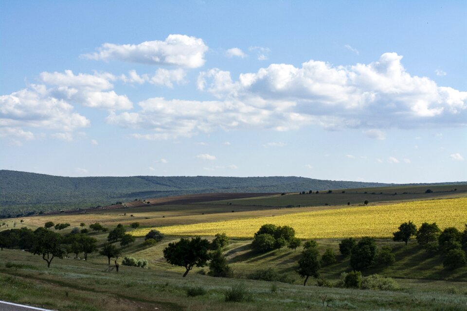 Cloud trees hills photo