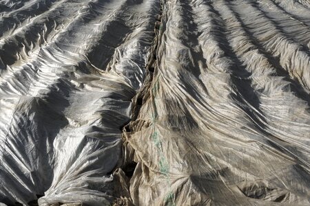 Slide agriculture vegetable growing