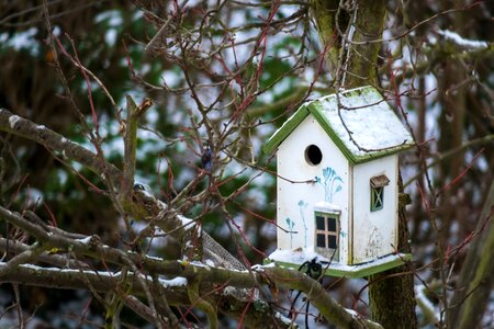 Nest live home