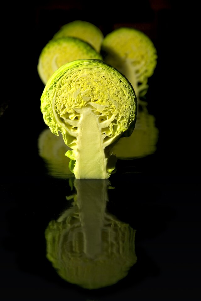 Photography mirroring plant