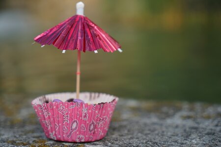 Muffin umbrella Free photos