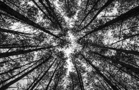 Mood perspective wide angle