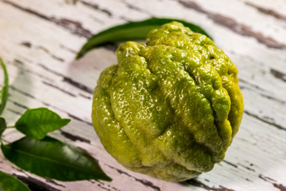 Limon rico green fruit bottom limon
