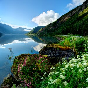 Landscape fjord norway