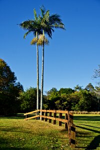 Wooden landscape outdoor