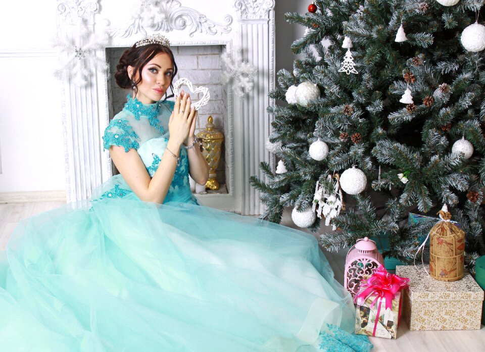 Christmas holiday ornament