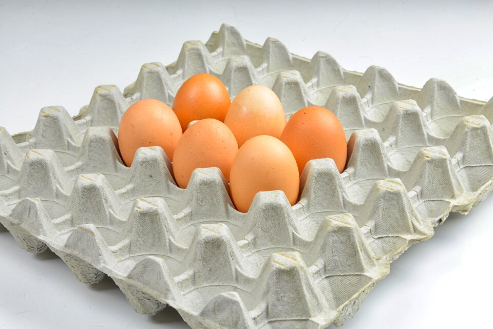 Protein egg packaging eggshell