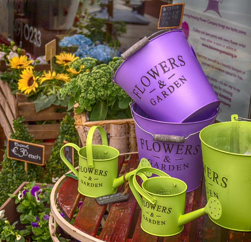 Watering pot green purple