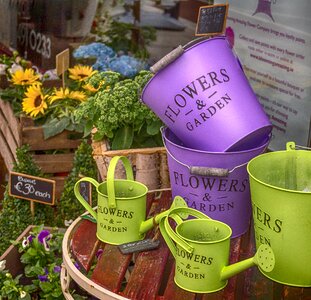 Watering pot green purple