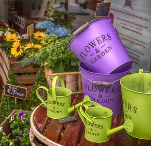 Watering pot green purple photo