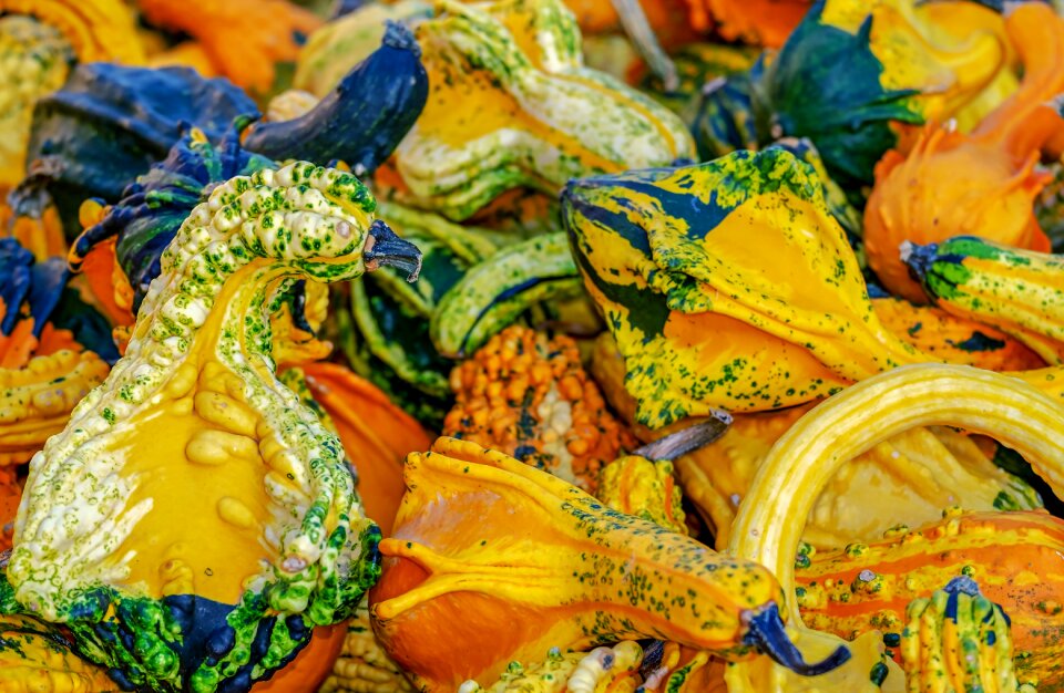 Decorative decoration autumn