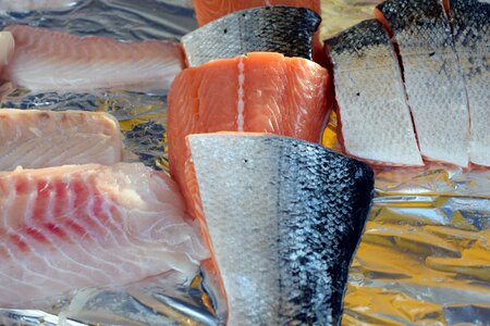 Fish fillet salmon salmon fillet