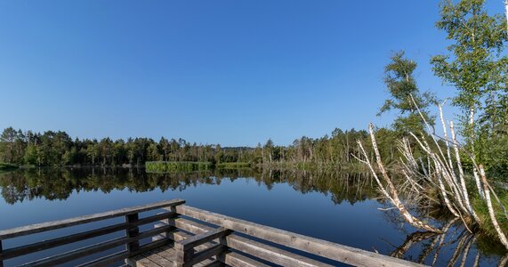 Landscape protection moor summer photo