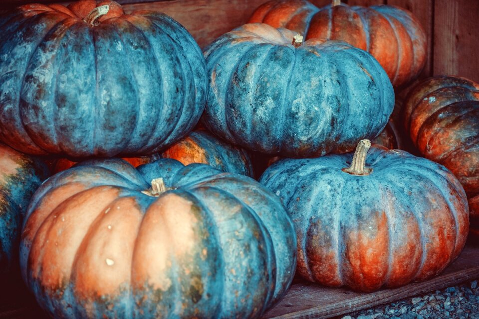 Benefit from food farm