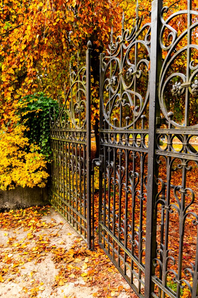 Fall color colorful bright
