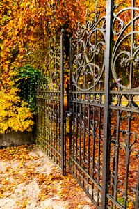 Fall color colorful bright