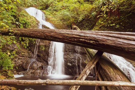 Rainforest water waterfall photo