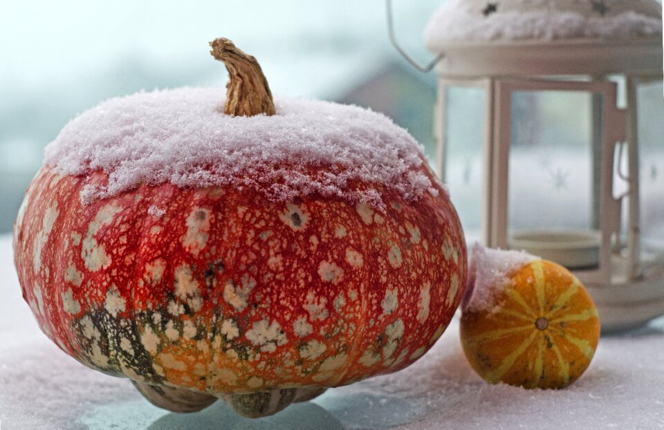 Winter pumpkins storm