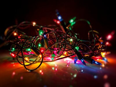 Xmas tangled seasonal