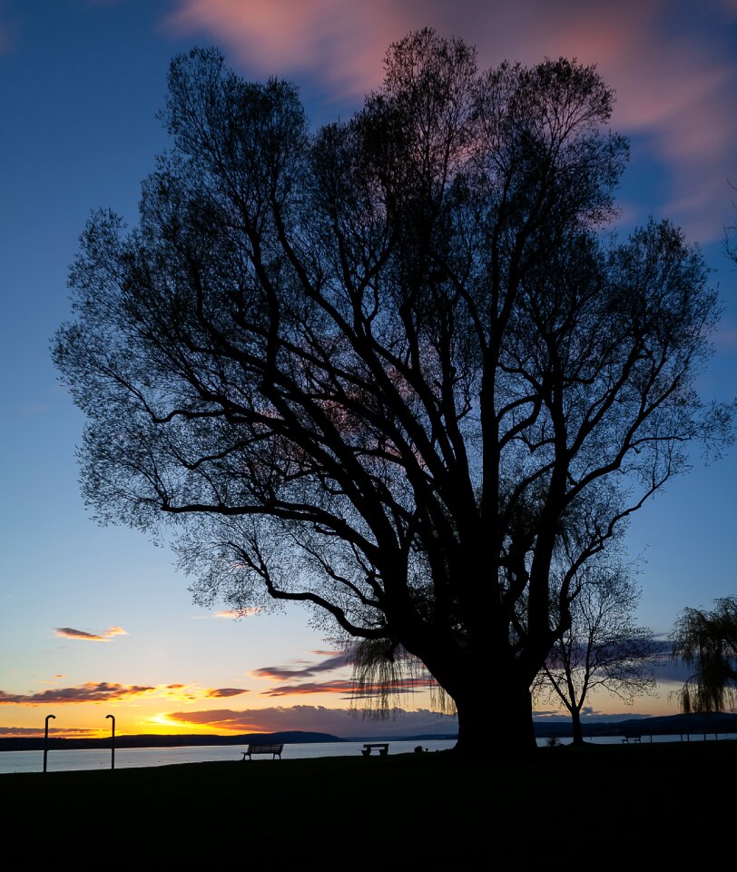 Dawn sun silhouette