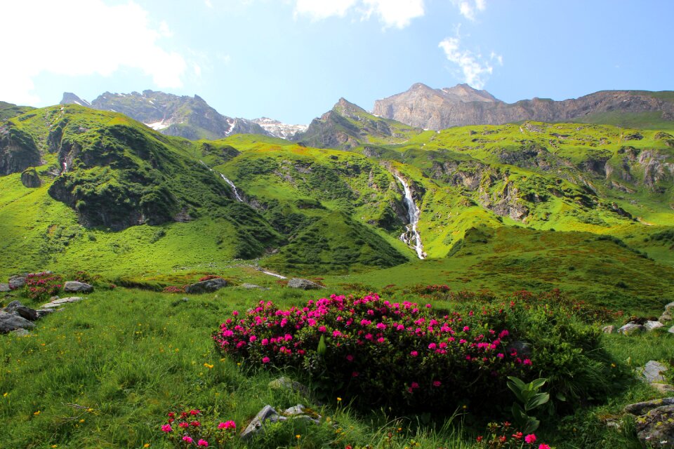 Nature austria alps