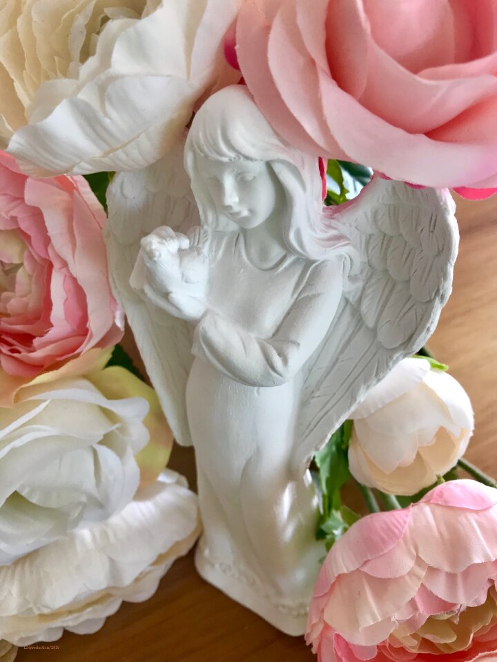 The heavenly messenger flowers rose