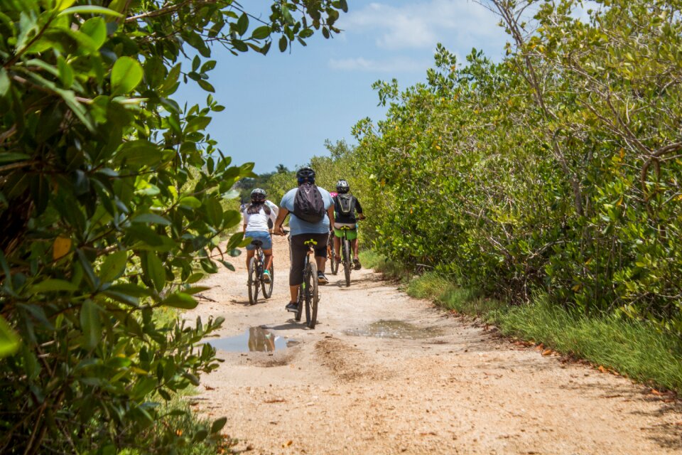 Cycling landscape walk