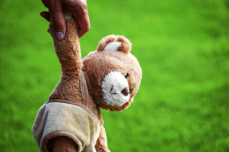Toys bear stuffed animal