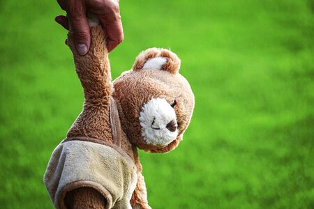 Toys bear stuffed animal photo