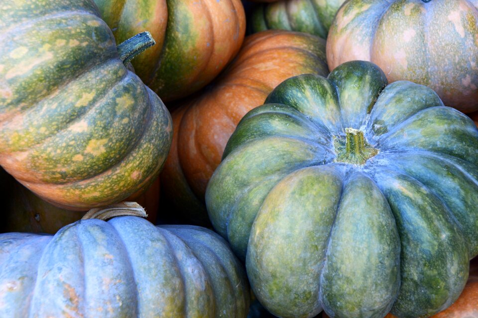 Autumn harvest thanksgiving