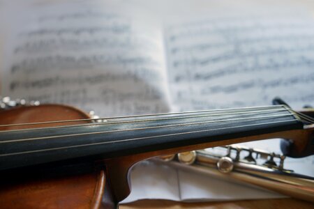 Classic musical instrument instrument