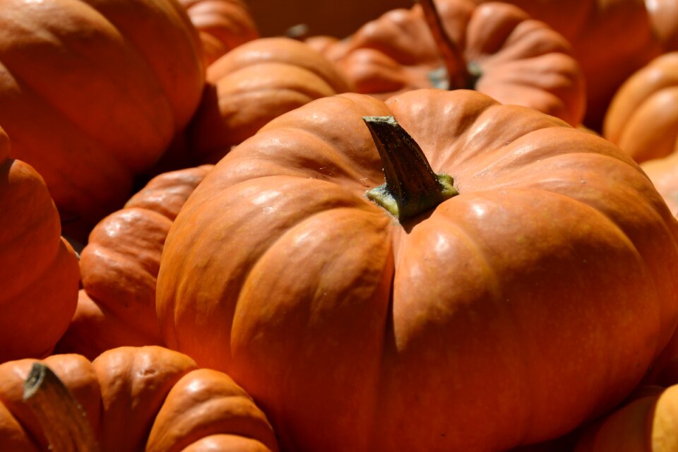 Autumn harvest thanksgiving