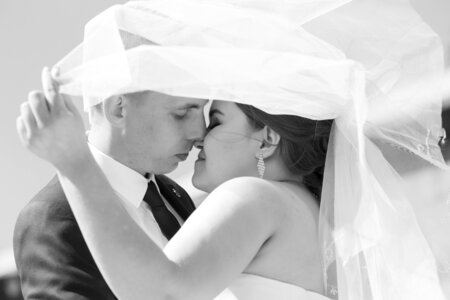 Marriage happiness veil photo