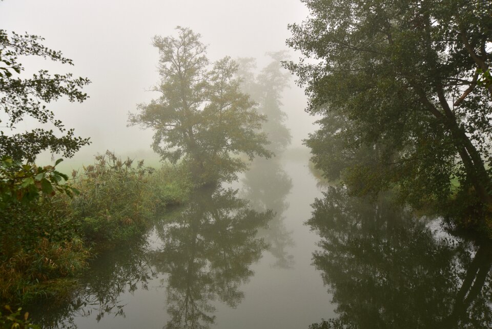 Landscape trueb autumn