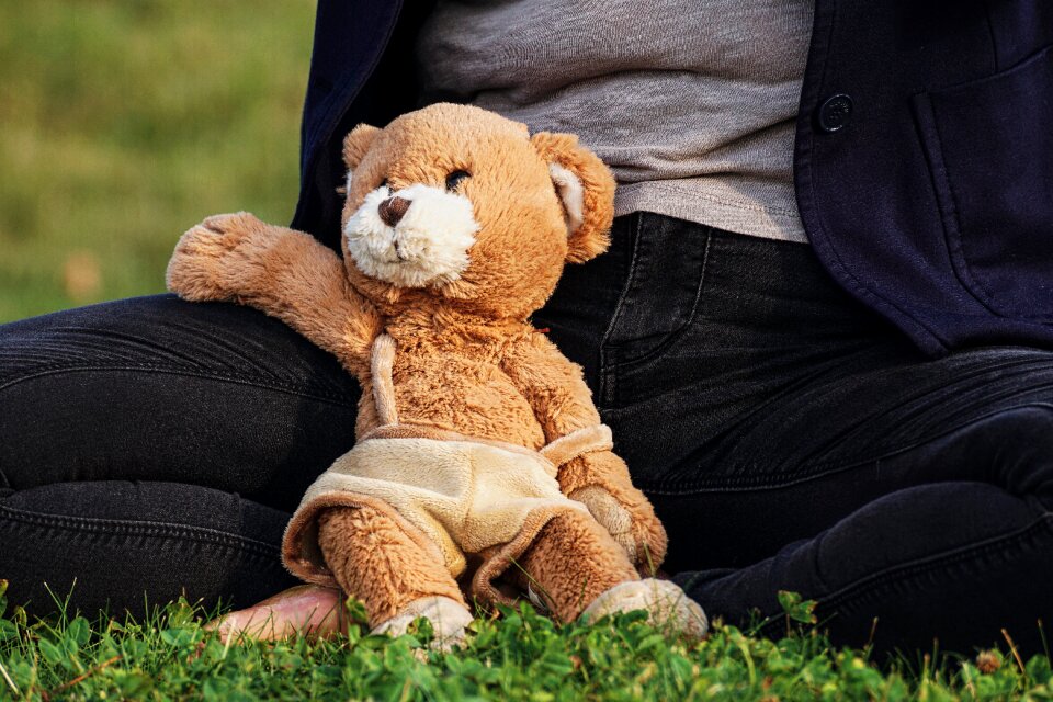 Bears soft toy plush