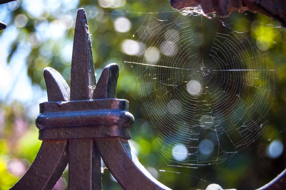 Gate metal colors