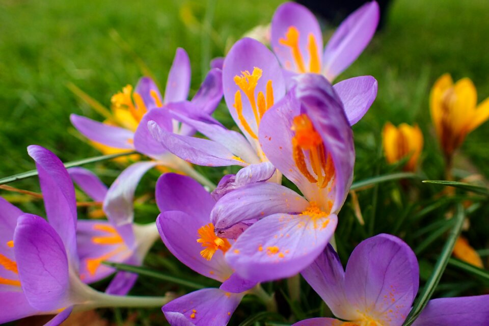 Bright colorful field