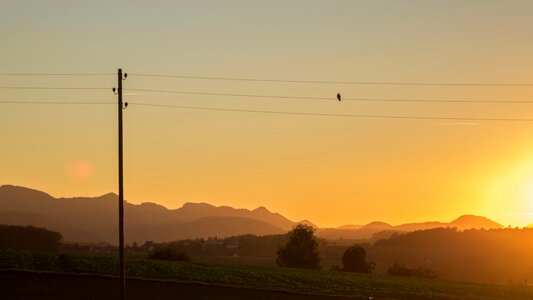 Dusk mast strommast photo