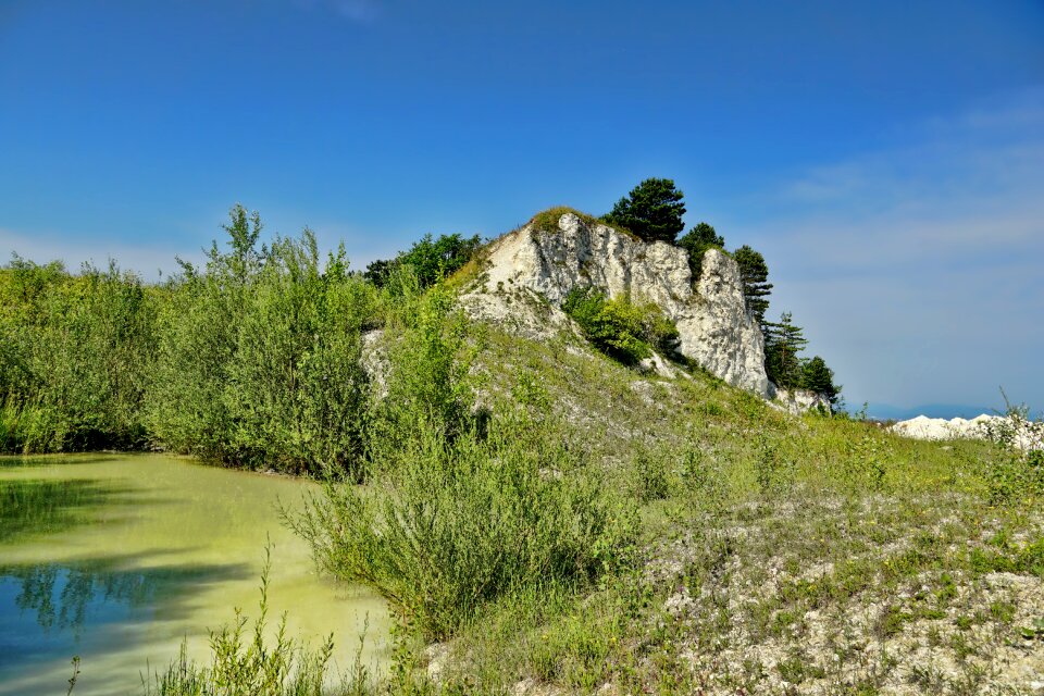 White cliffs trees sky