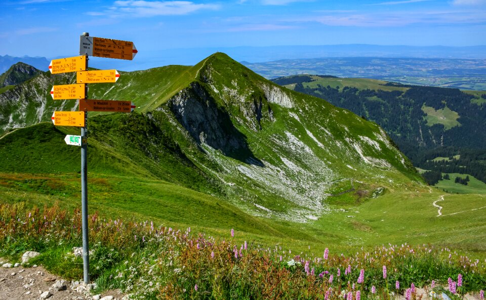 Landscape nature mountains