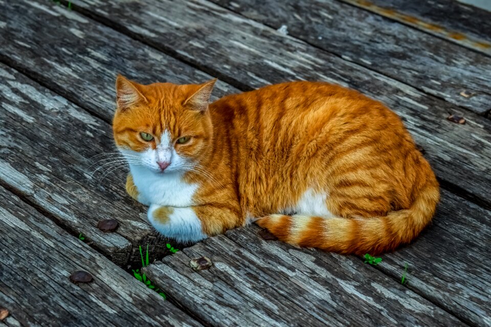 Portrait outdoors sitting