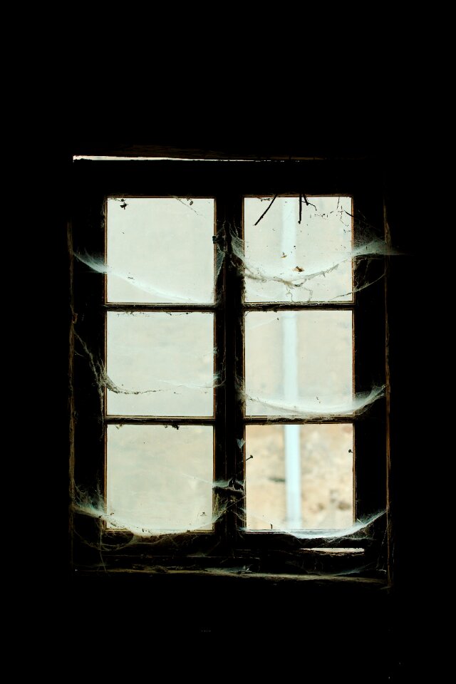 Within dirty house
