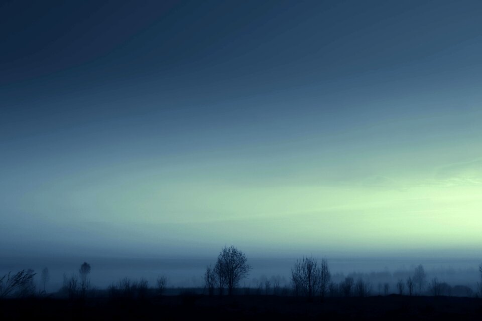 Nature in the morning sky