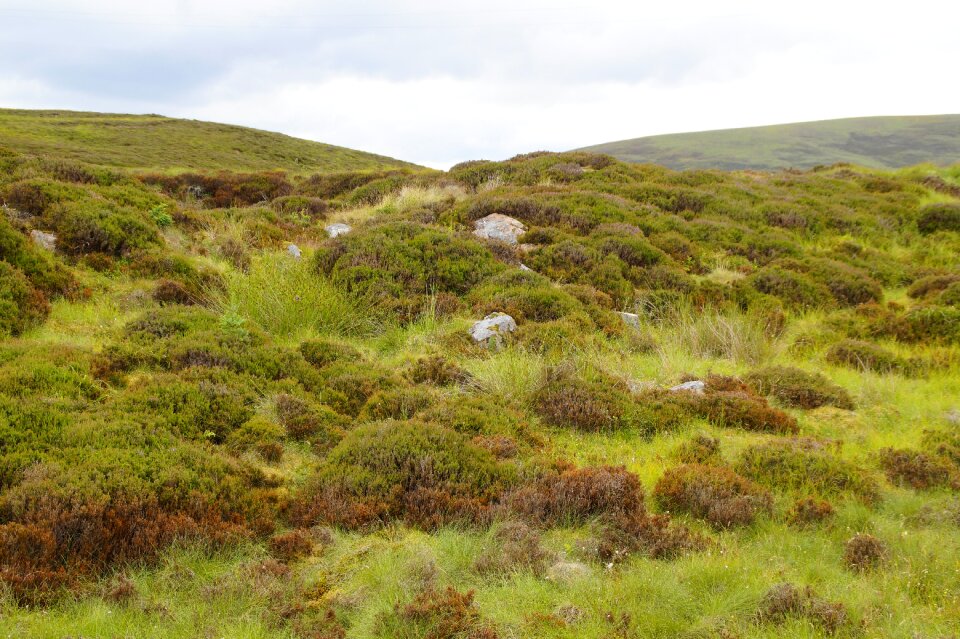 Nature scotland highlands