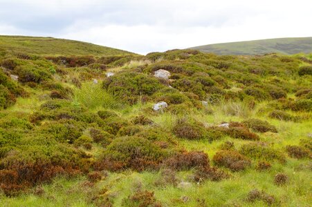 Nature scotland highlands photo