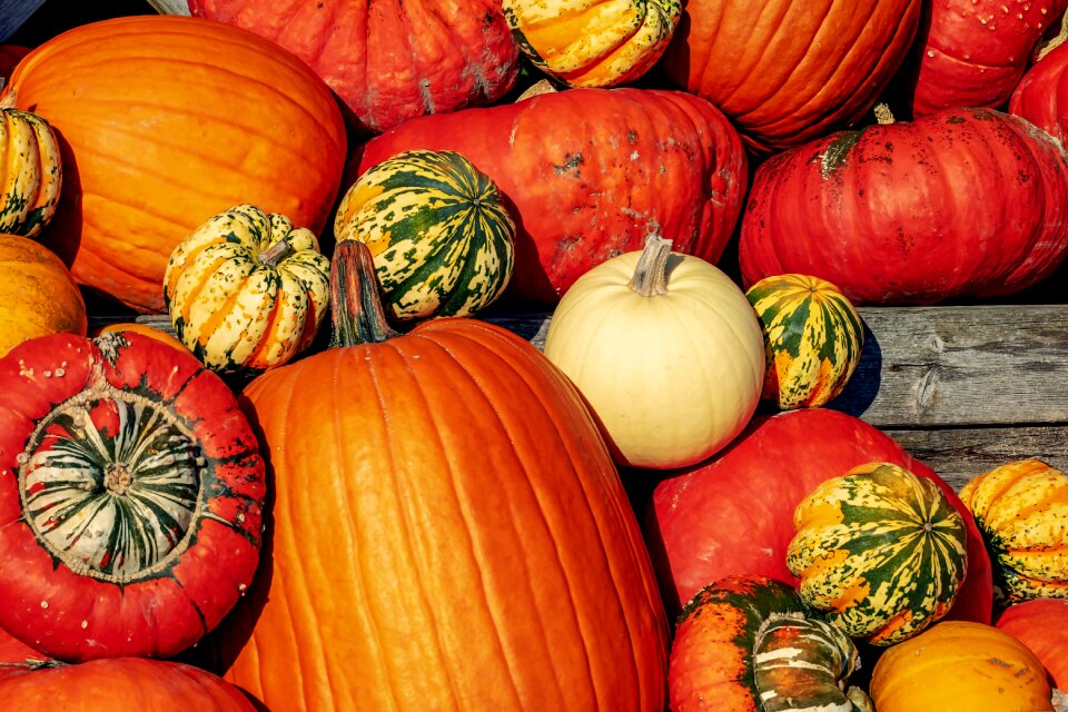 Decoration autumn motives season