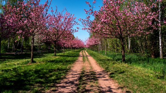 Season nature landscape