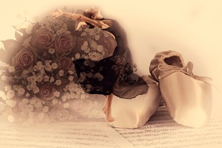 Elegance classical shoes