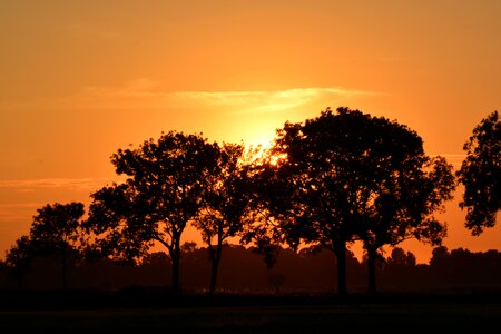 Dusk sunlight mood